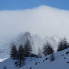 Jour de grand vent et de grand froid. Est ce un jour pour mettre un photographe dehors?