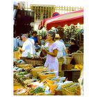 jour de marché à Saint Remy de Provence 