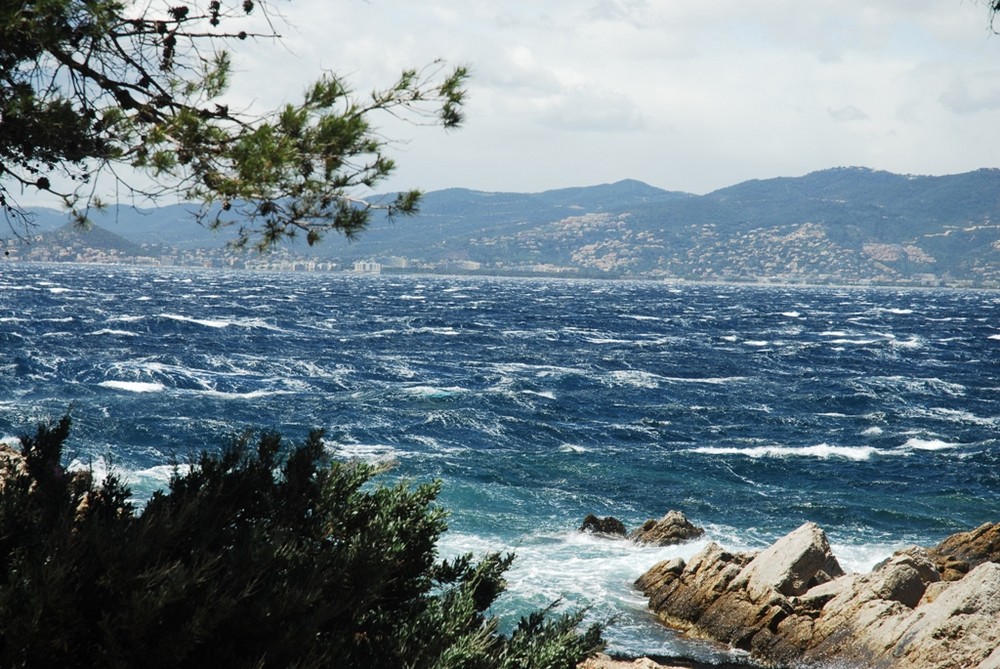 Jour de Mistral dans la baie de Cannes /Mandelieu.