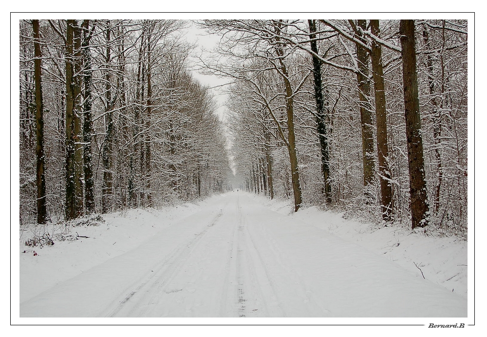 Jour de neige