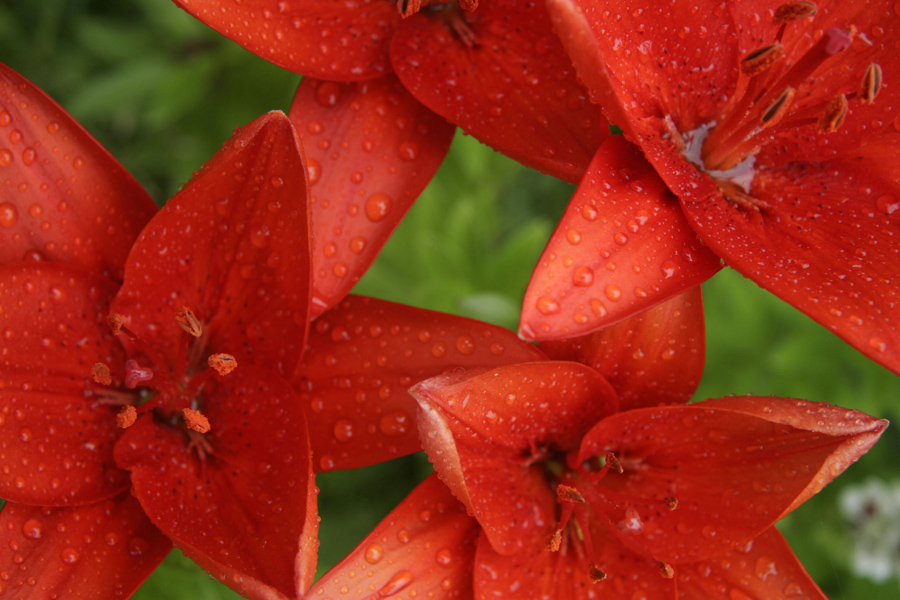 Jour de pluie