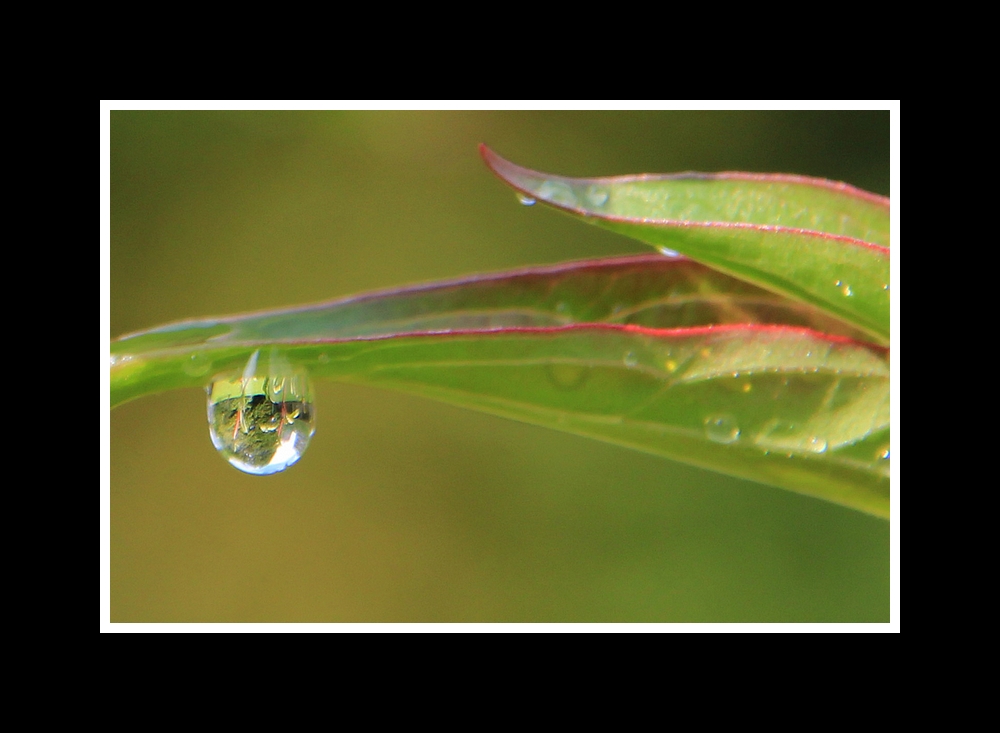 Jour de pluie