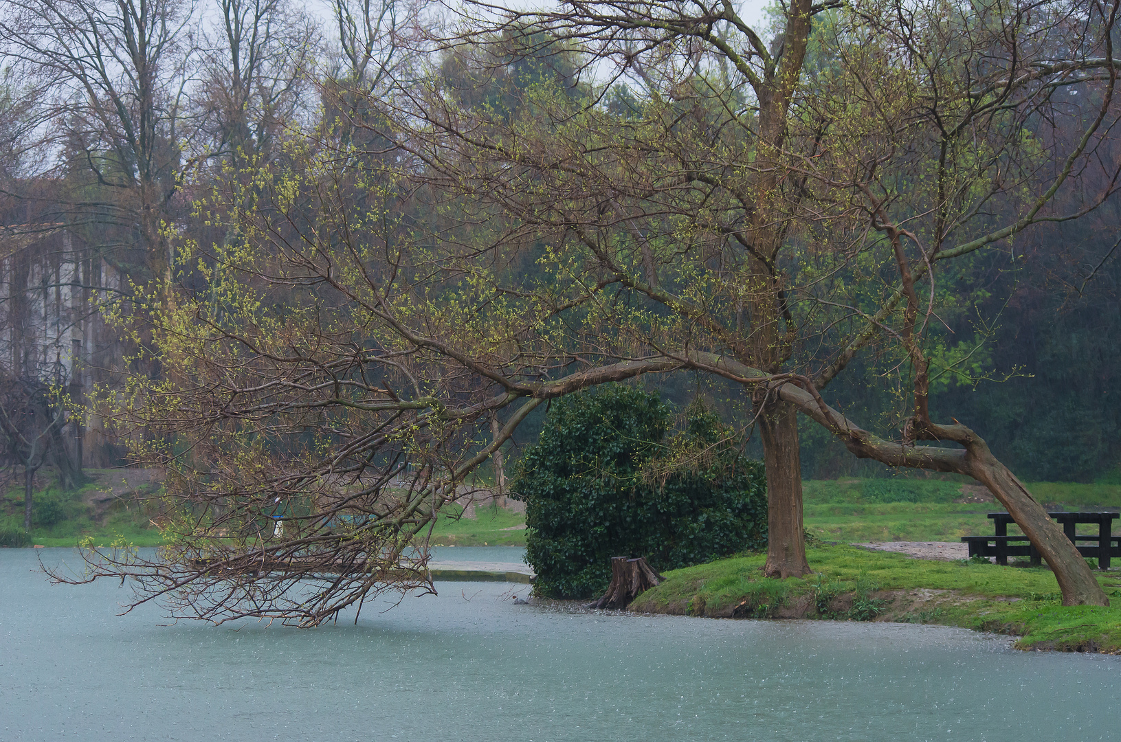 Jour de pluie