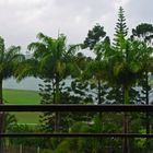 Jour de pluie à Nouméa - Regentag in Nouméa