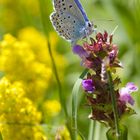 Jour de printemps