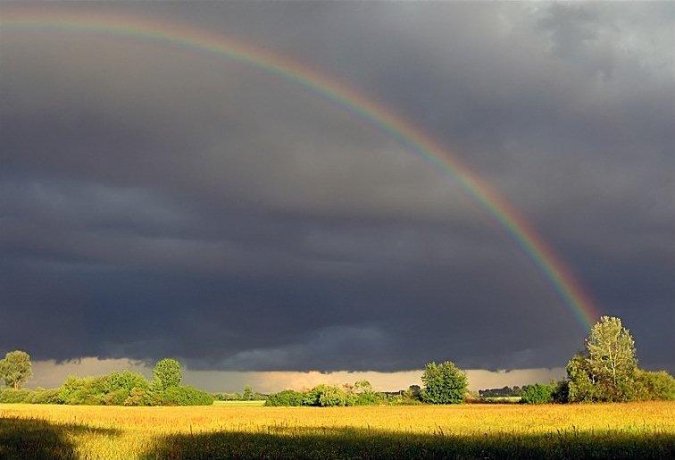 jour d'orage ...