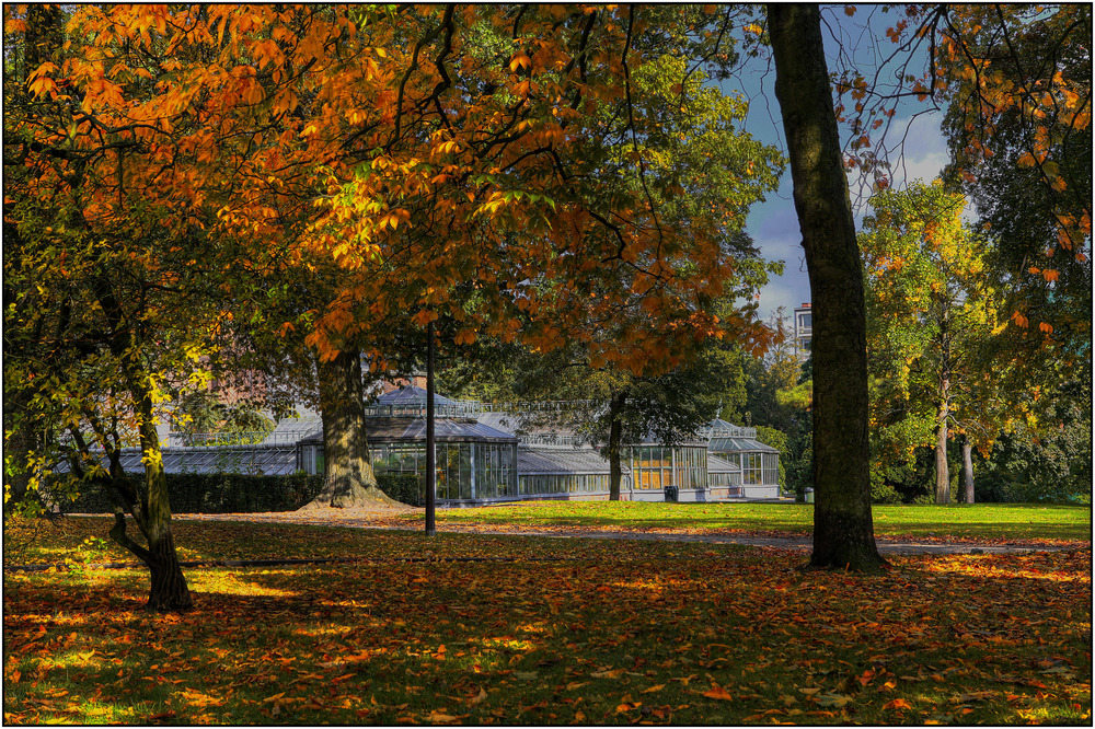 Journée d'automne