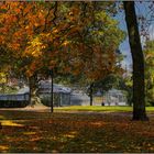 Journée d'automne