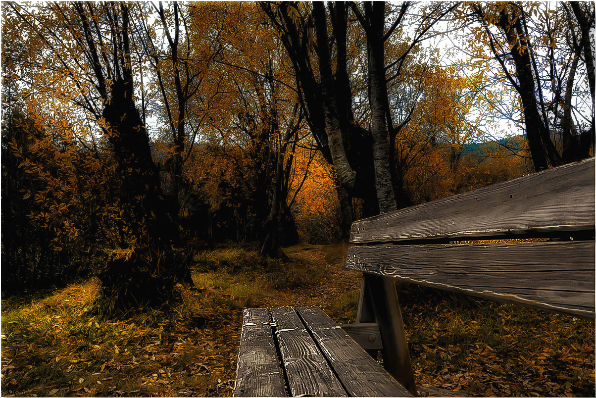 Journée d'automne