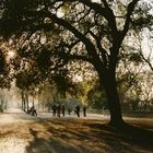 journée d'automne a cognac