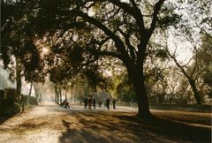 journée d'automne a cognac