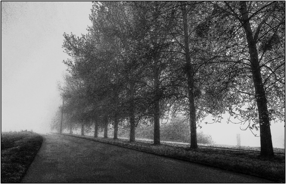 Journée de brume