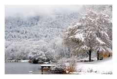 Journée du blanc !