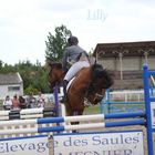 Journée du cheval et du chien