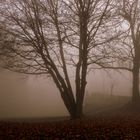 journée hivernale