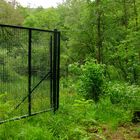 journée porte ouverte dans la forêt printanière