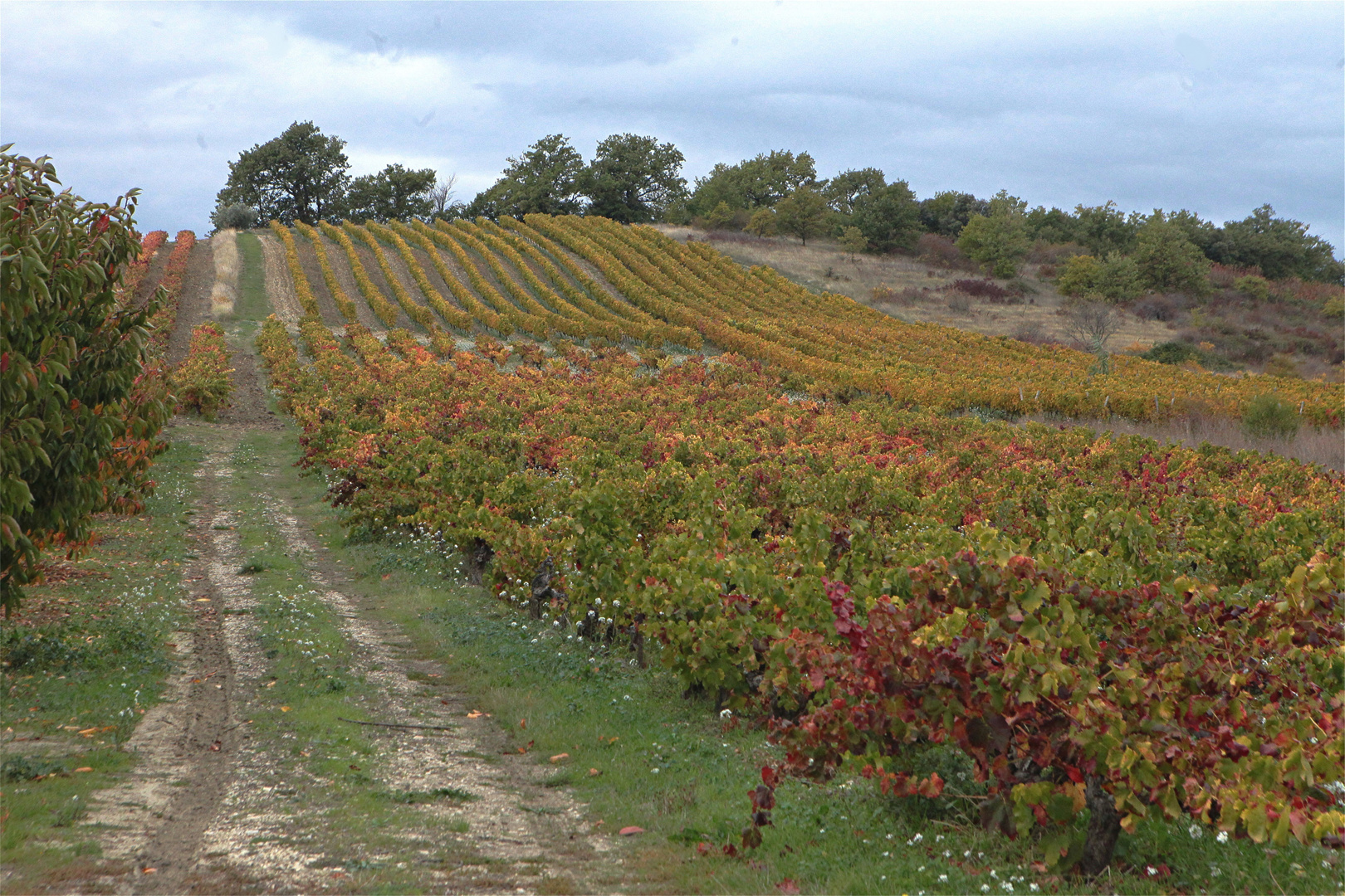 JOURS D'AUTOMNE EN VENTOUX (21)