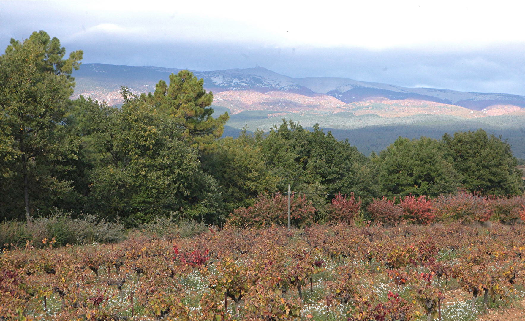 JOURS D'AUTOMNE EN VENTOUX (26)