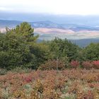 JOURS D'AUTOMNE EN VENTOUX (26)