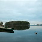 Joutsijärvi 2011 (3)