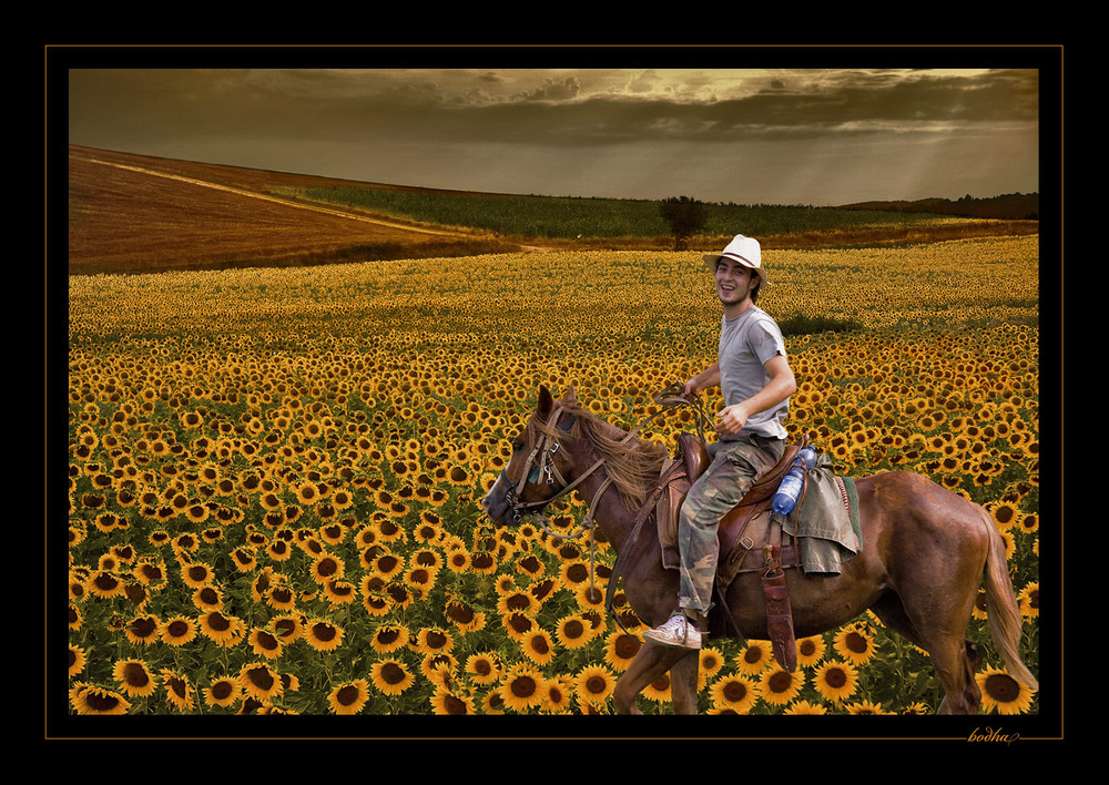 joy riding in yellow field...