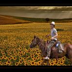 joy riding in yellow field...