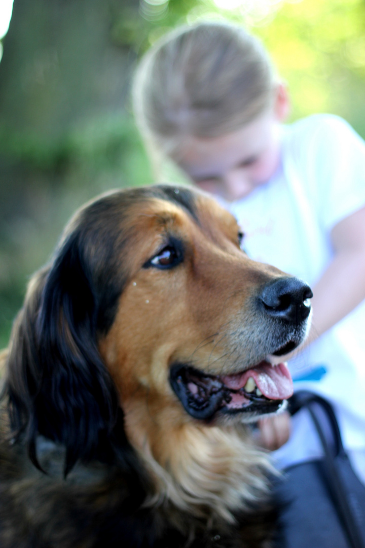 Joy und Engel