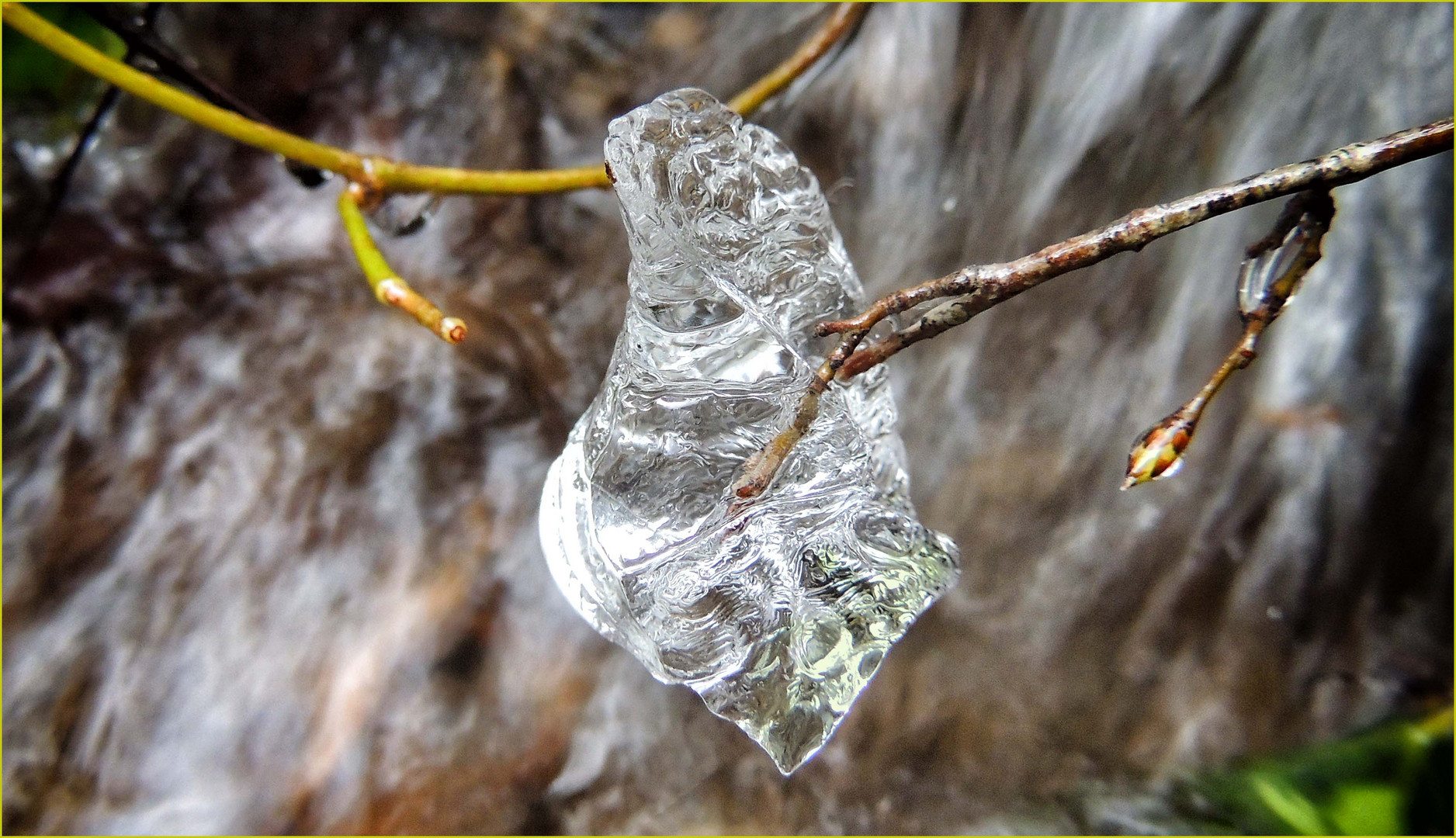 Joyau de glace 