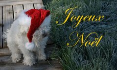 joyeu noel