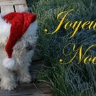 joyeu noel