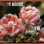 Joyeuse année 2016 !!