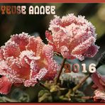 Joyeuse année 2016 !!