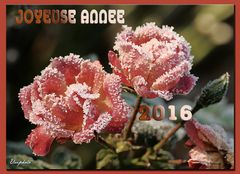 Joyeuse année 2016 !!