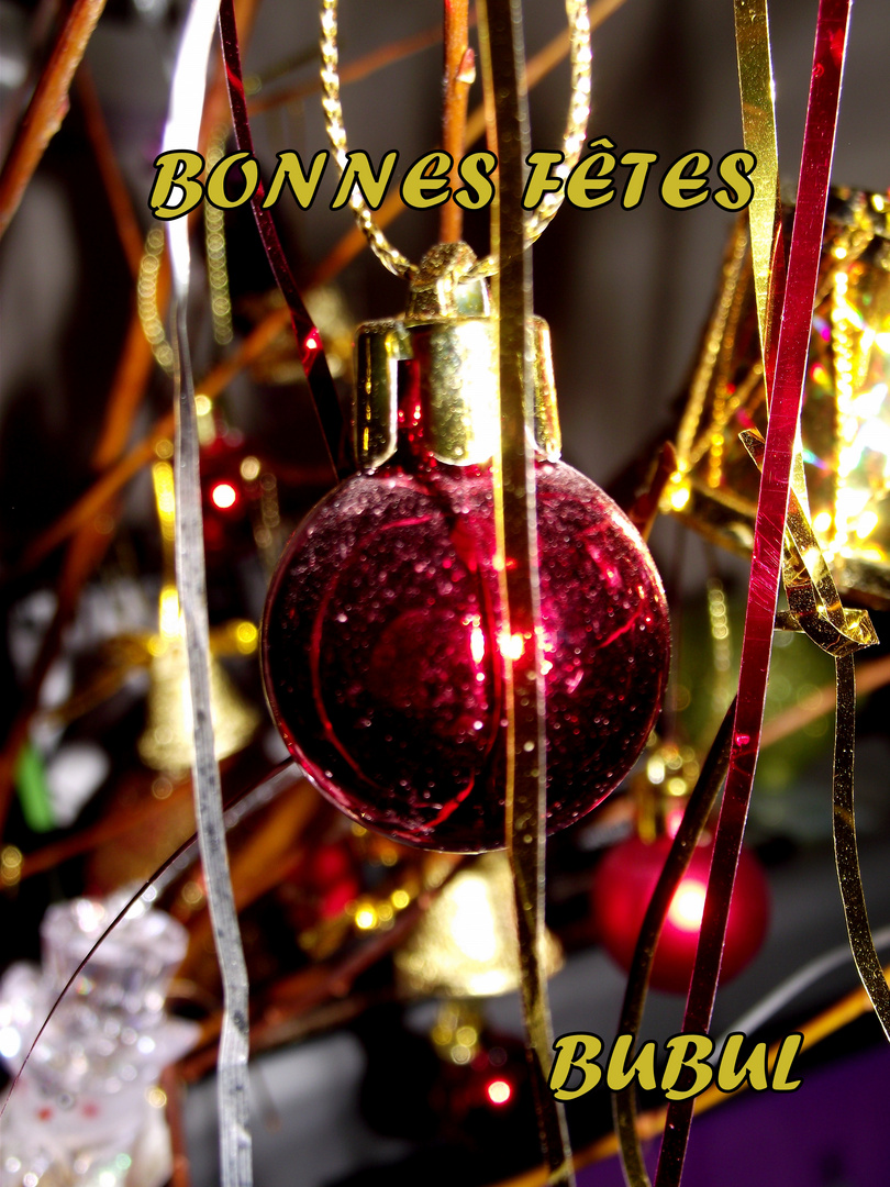 JOYEUSES FETES A TOUS LES PHOTONAUTES