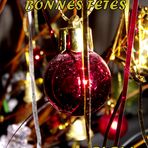 JOYEUSES FETES A TOUS LES PHOTONAUTES