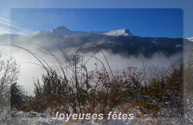 * Joyeuses fêtes *