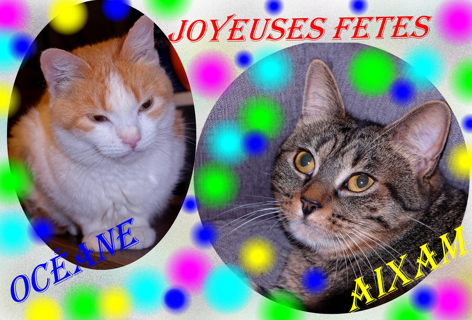 Joyeuses Fêtes de Fin d'Année 