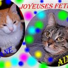 Joyeuses Fêtes de Fin d'Année 