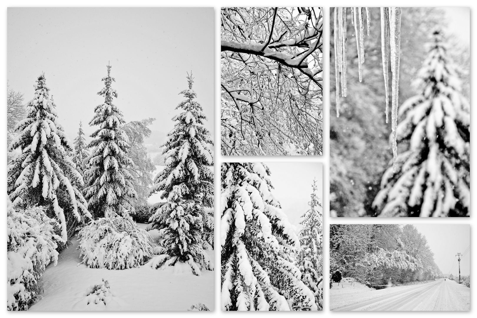 Joyeuses Fêtes de fin d'année à tous mes ami(e)s photographes !!!