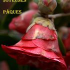 Joyeuses fêtes pascales 