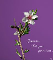 Joyeuses Pâques .