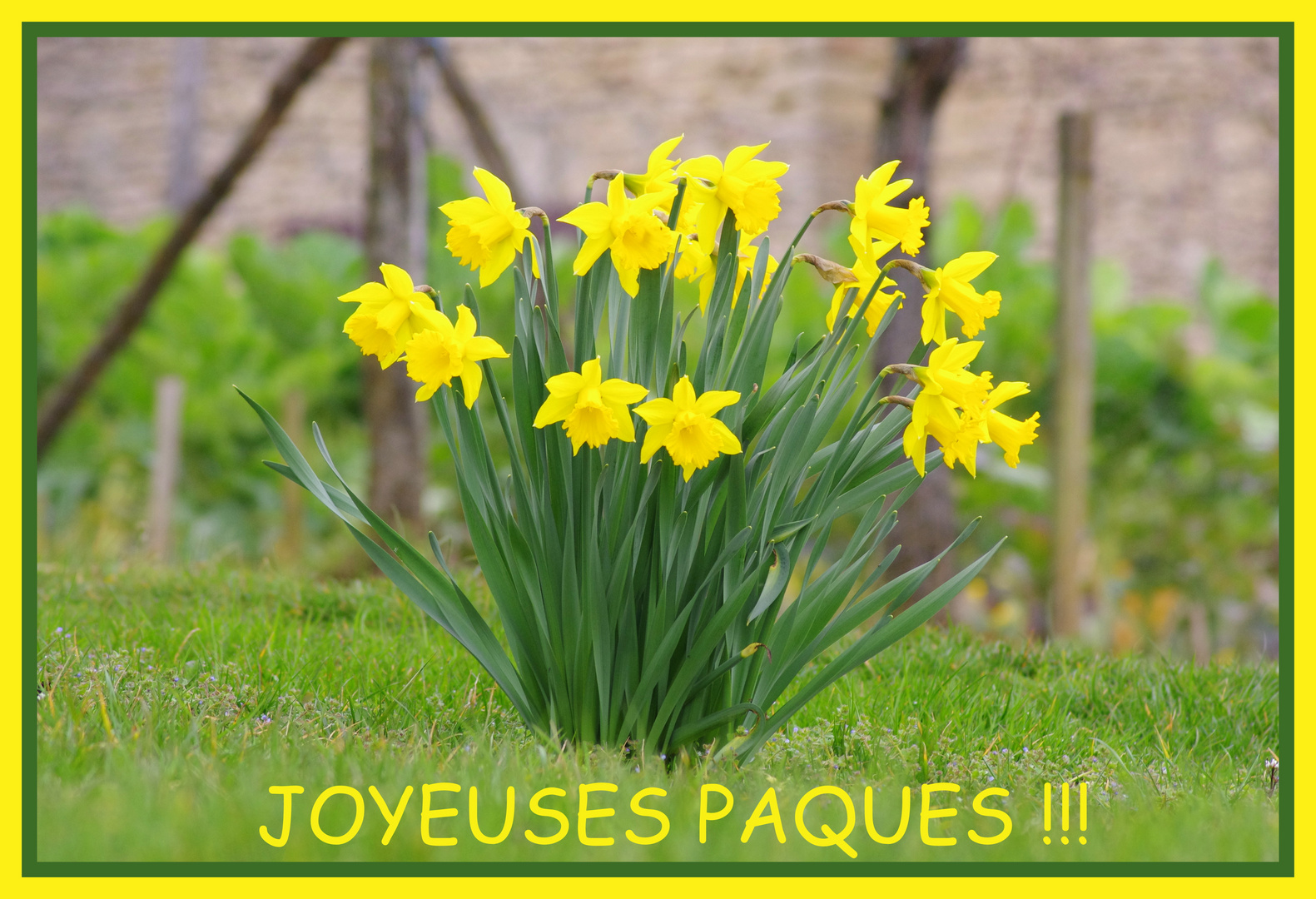 Joyeuses Pâques !!!