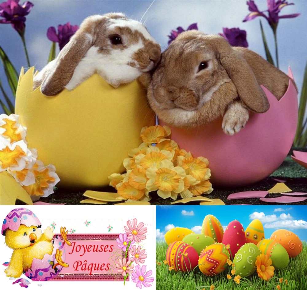 joyeuses Pâques Froh Ostern