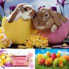 joyeuses Pâques Froh Ostern