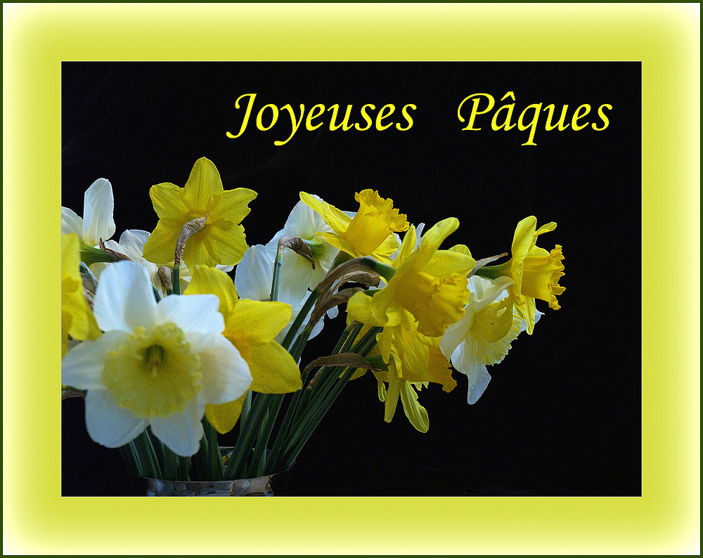 Joyeuses Pâques -- Frohe Ostern