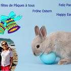 joyeuses Pâques - Frohe Ostern - feliz Pascua