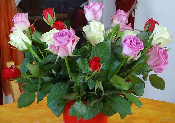 JOYEUX ANNIVERSAIRE CHRISTIANE