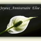 Joyeux Anniversaire Elise