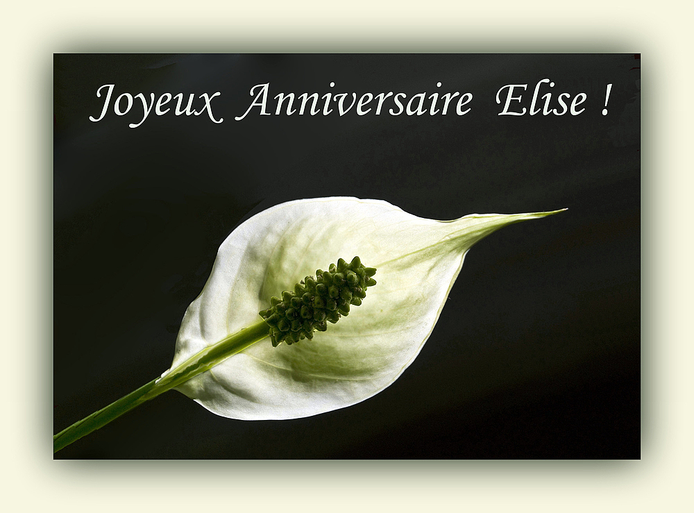 Joyeux Anniversaire Elise