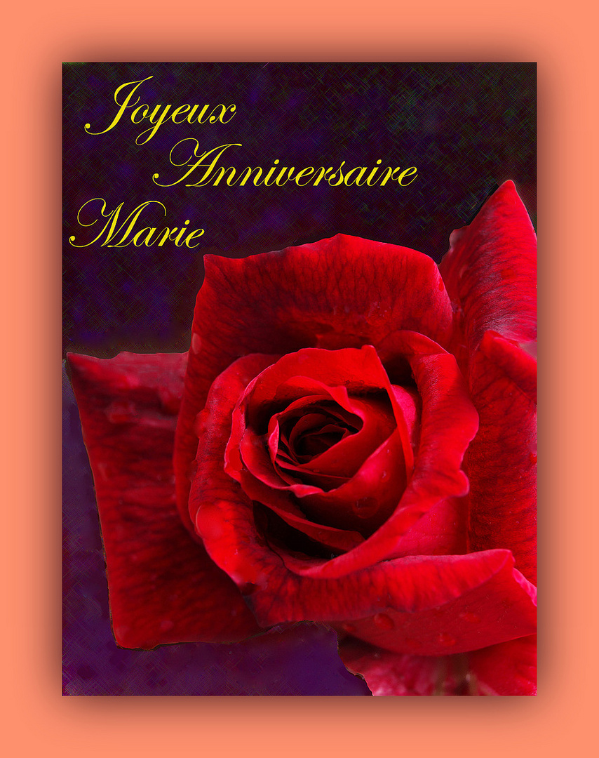 Joyeux Anniversaire Marie Photo Et Image Fleurs Rose Special Images Fotocommunity